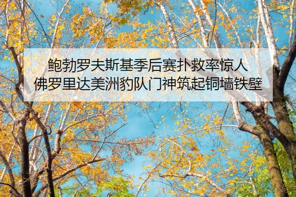 bao-bo-luo-fu-si-ji-ji-hou-sai-pu-jiu-lv-jing-ren-fu-luo-li-da-mei-zhou-bao-dui-men-shen-zhu-qi-tong-qiang-tie-bi-2-850.jpg