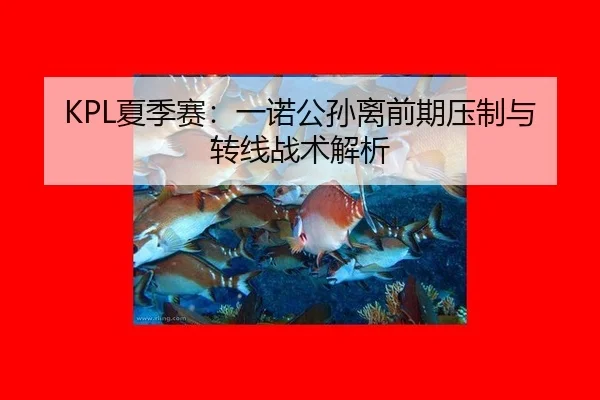 KPL夏季赛：一诺公孙离前期压制与转线战术解析