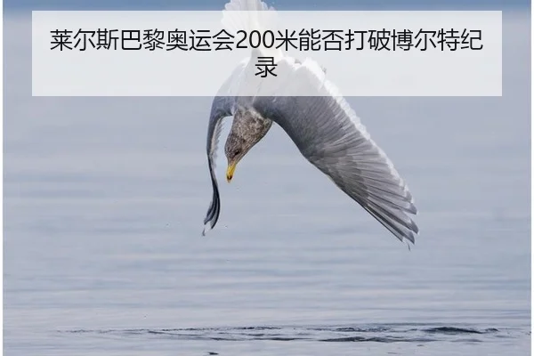 lai-er-si-ba-li-ao-yun-hui-mi-neng-fou-da-po-bo-er-te-ji-lu-3-720.jpg