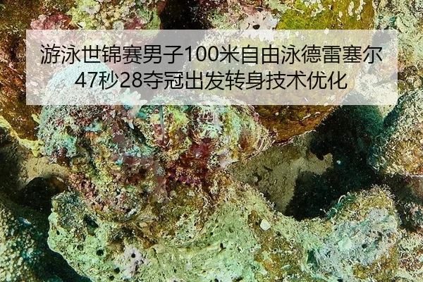 游泳世锦赛男子100米自由泳德雷塞尔47秒28夺冠出发转身技术优化